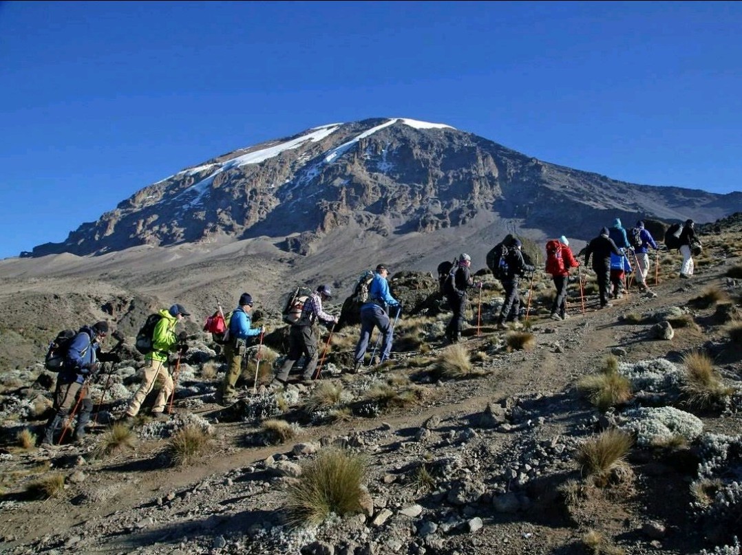 7 Day Machame Route