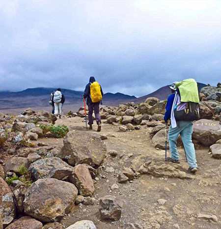 machame Route