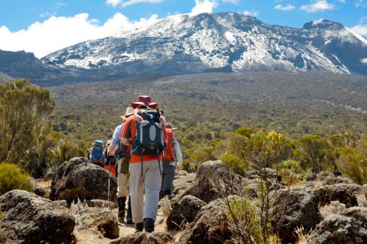 8 Day Kilimanjaro Trek Lemosho Route