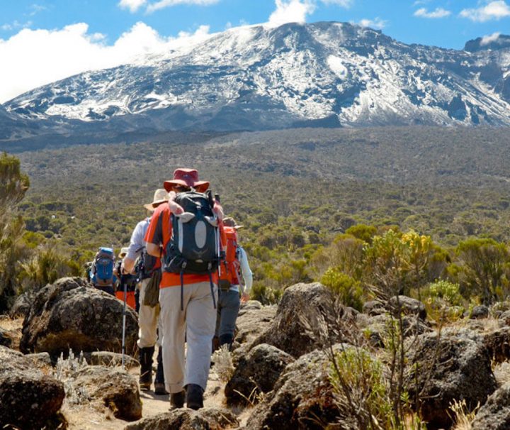 8 Day Kilimanjaro Trek Lemosho Route