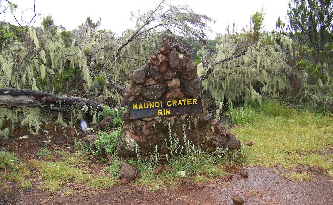 Maundi Crater Kilimanjaro