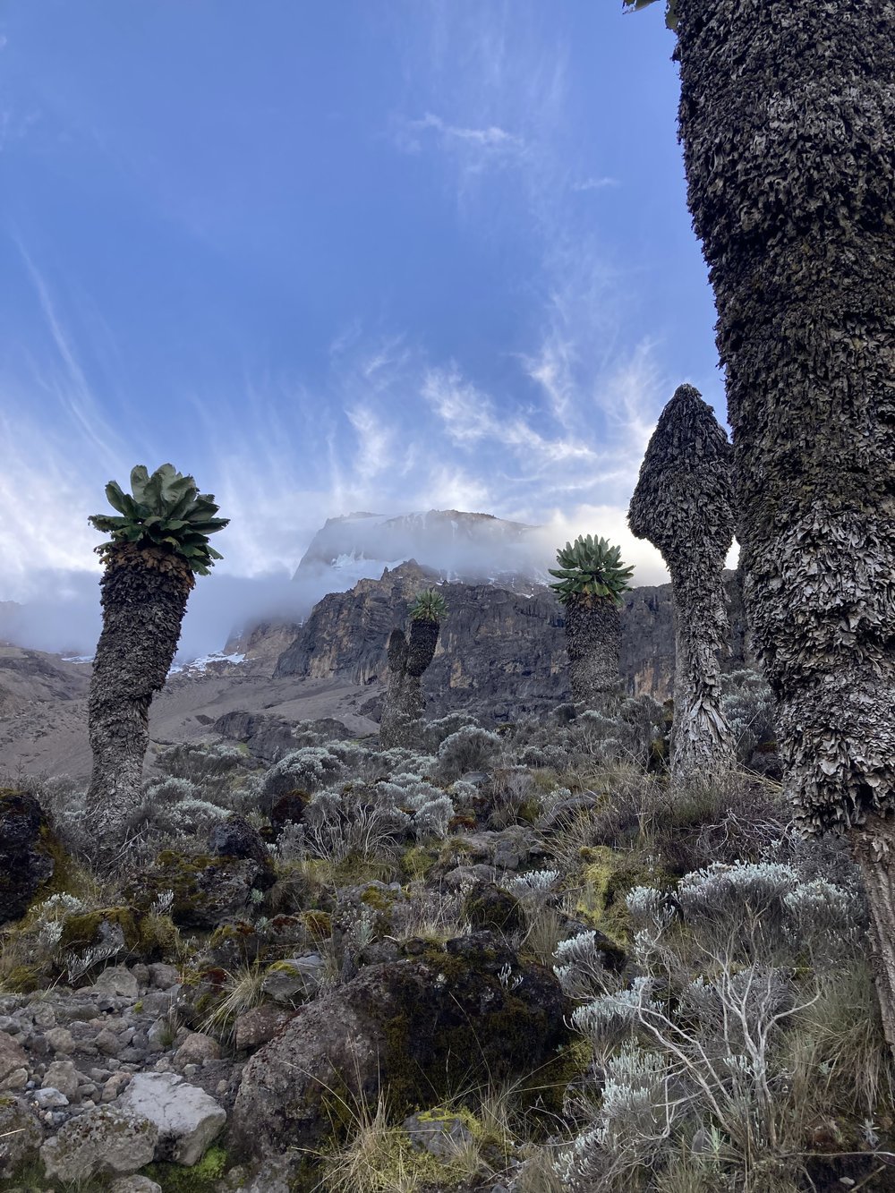 Beauty of Uhuru Peak